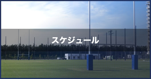スケジュール